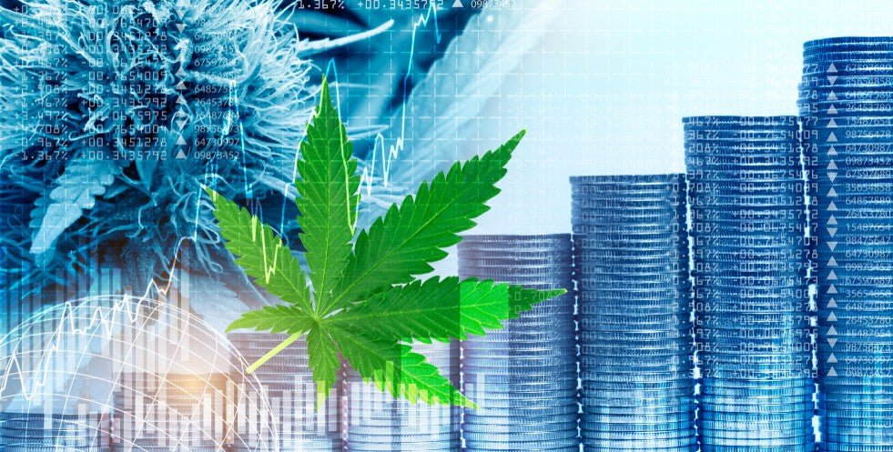 Are Kill Cliff CBD Beverages Expensive? Let’s Add It Up - Kill Cliff