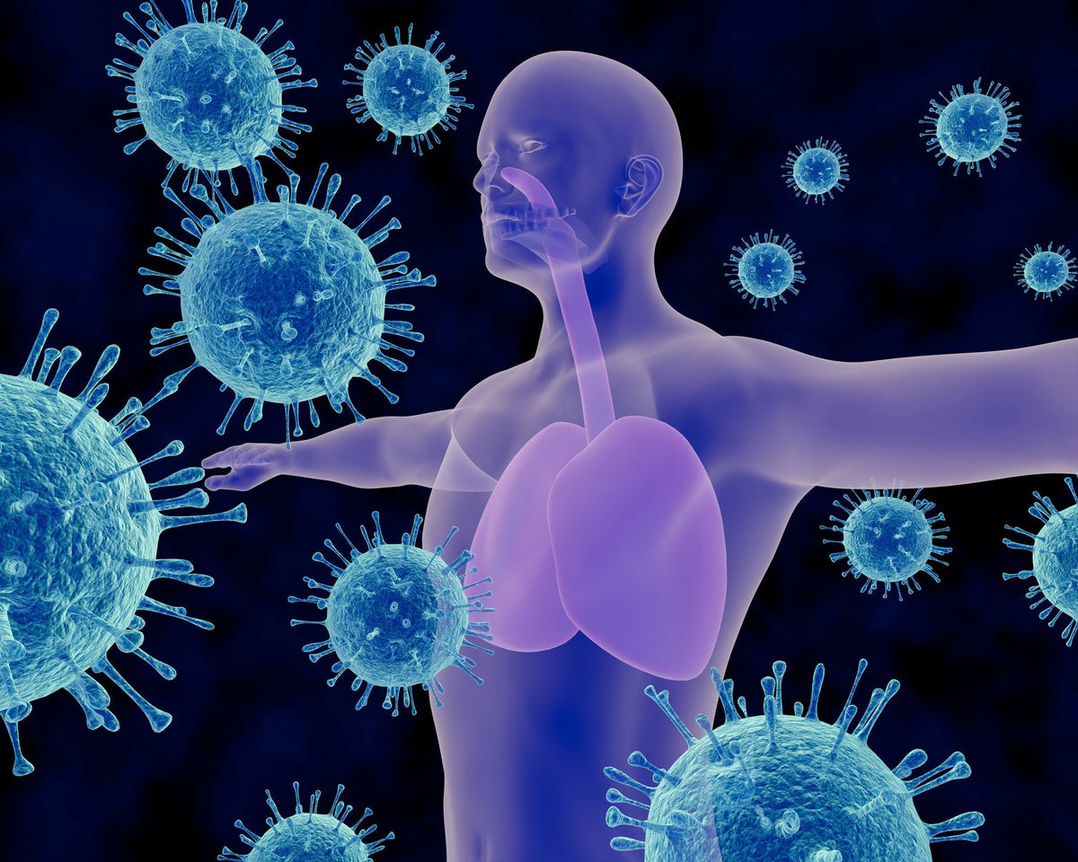 How CBD Can Help Your Immune System