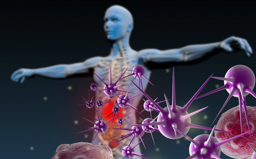 Ingredients That Will Help Your Immune System