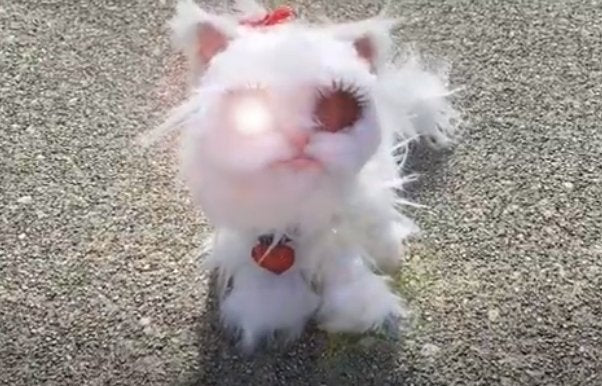 Revealed! The Origin of Laser Kitty!