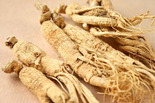 The Benefits of Asian Ginseng Root
