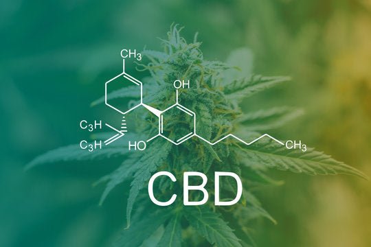 The Secret to Kill Cliff’s Bioavailable CBD Has Been Revealed