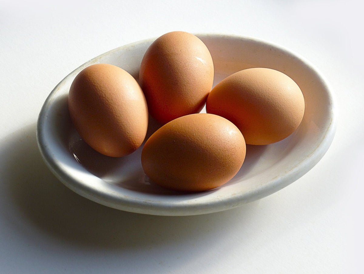 Top 9 High Protein Foods You Should Include In Your Diet