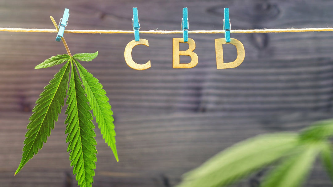 CBD: How Does Kill Cliff’s CBD Get Into Your System? (Hint: Science) - Kill Cliff