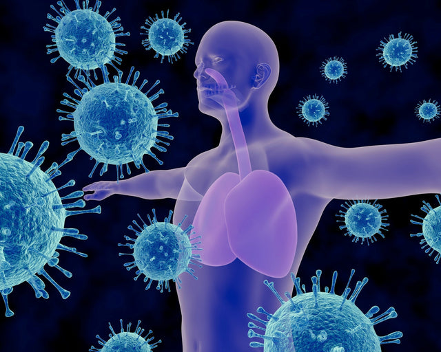 How CBD Can Help Your Immune System