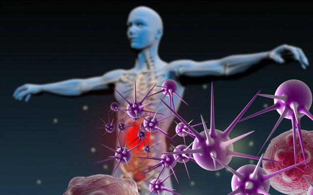 Ingredients That Will Help Your Immune System