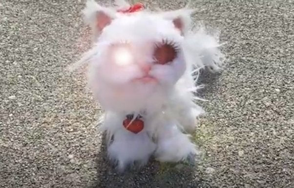 Revealed! The Origin of Laser Kitty! - Kill Cliff