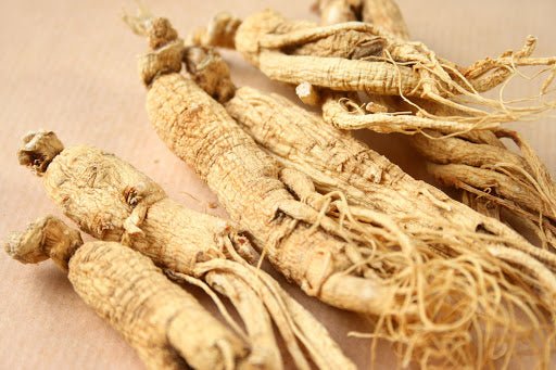 The Benefits of Asian Ginseng Root - Kill Cliff