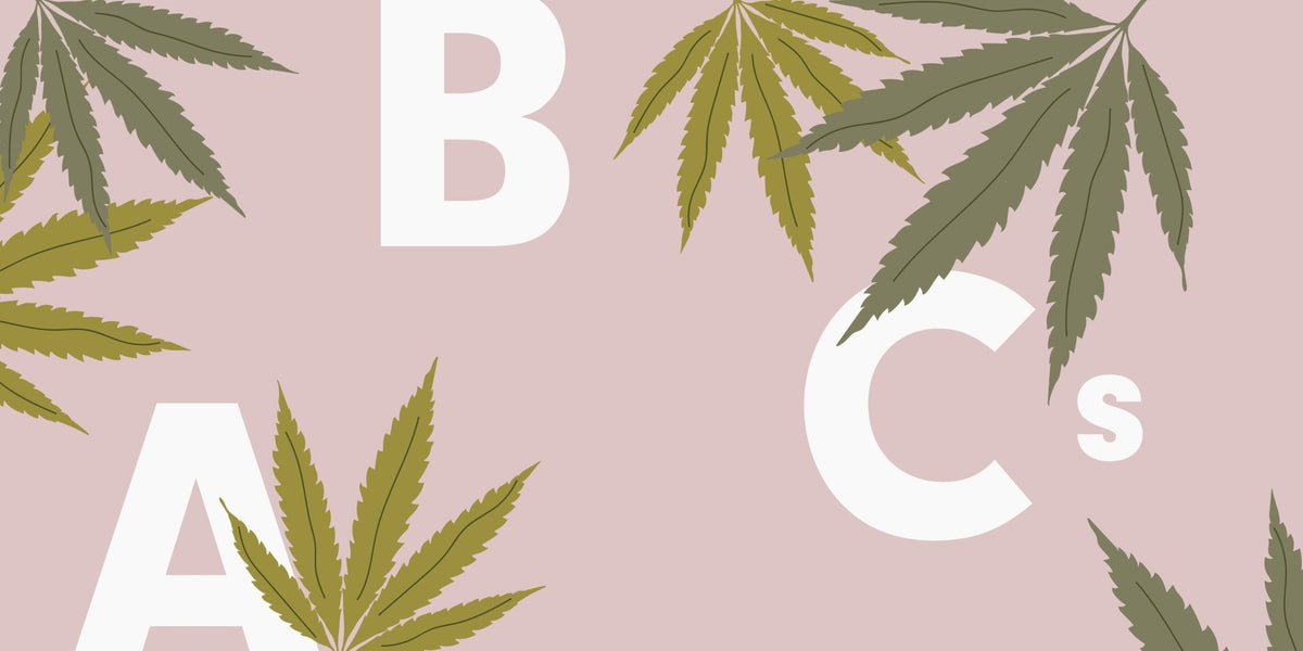 The COMPLETE Kill Cliff ABCs of CBD